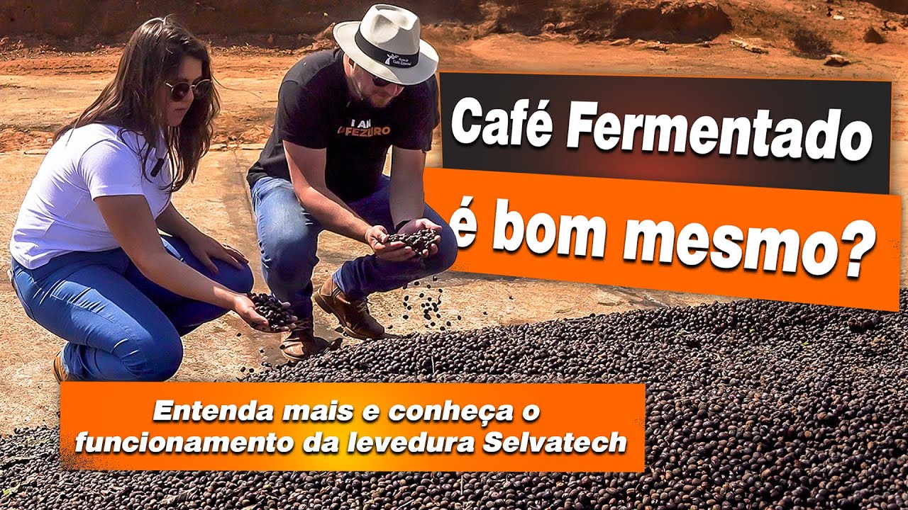 FERMENTAÇÃO NO MERCADO DE CAFÉS | Confira inovação da nova tecnologia Selvatech