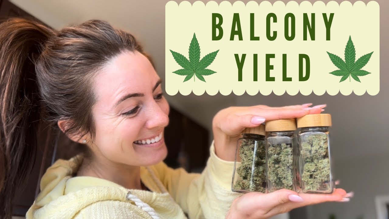 BALCONY WEED YIELD + GARDEN MAINTENANCE