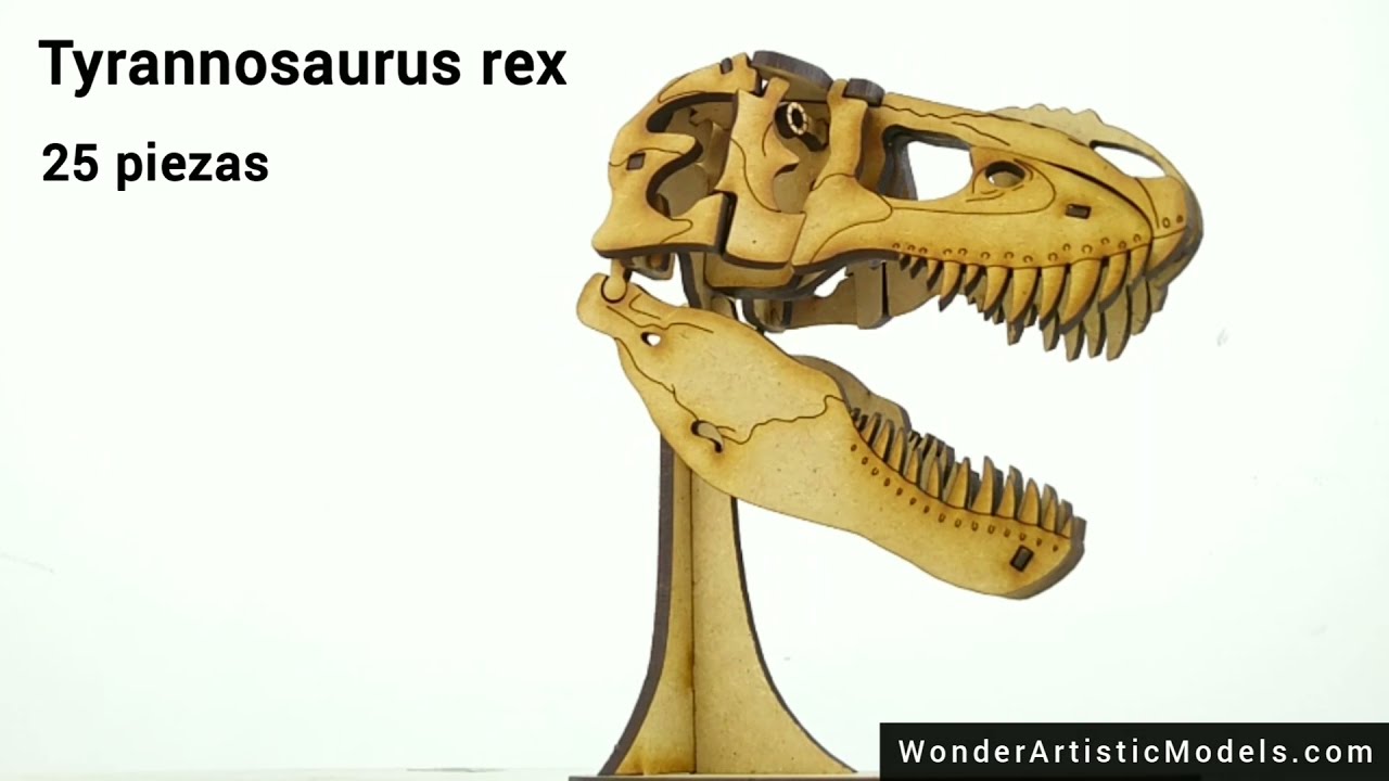Cr&aacute;neo Tyrannosaurus rex 3D Wooden Model Kit | WONDER Artistic Models