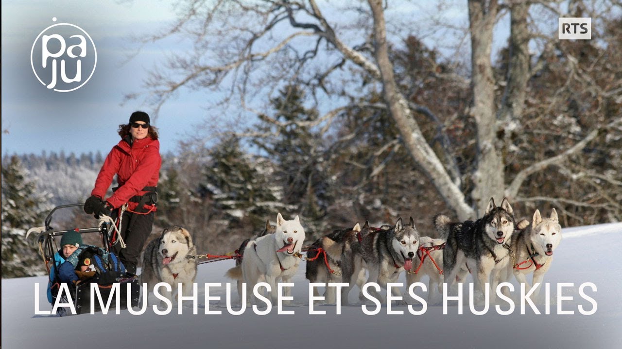 Anouk vit avec l’une des plus grosses meutes de huskies de Suisse