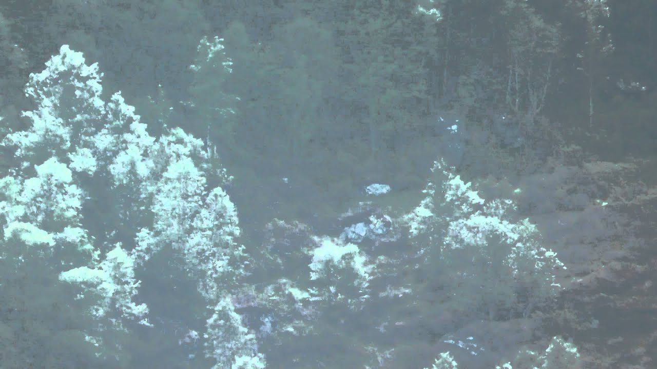 308Win / 175gr Scenar L @ 1270m