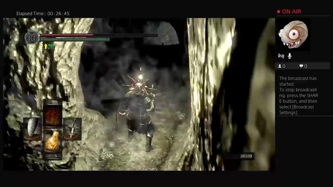 Ds 1 stream