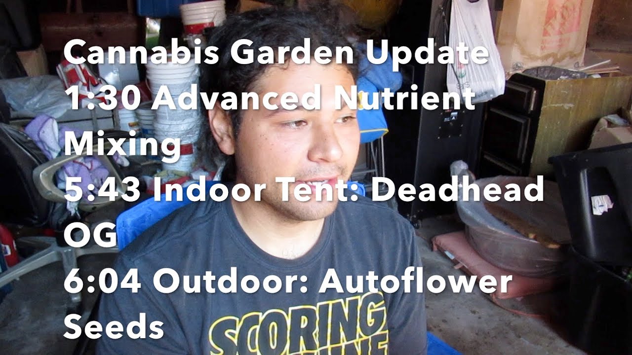 Cannabis Garden Update: Advanced Nutrient Mixing