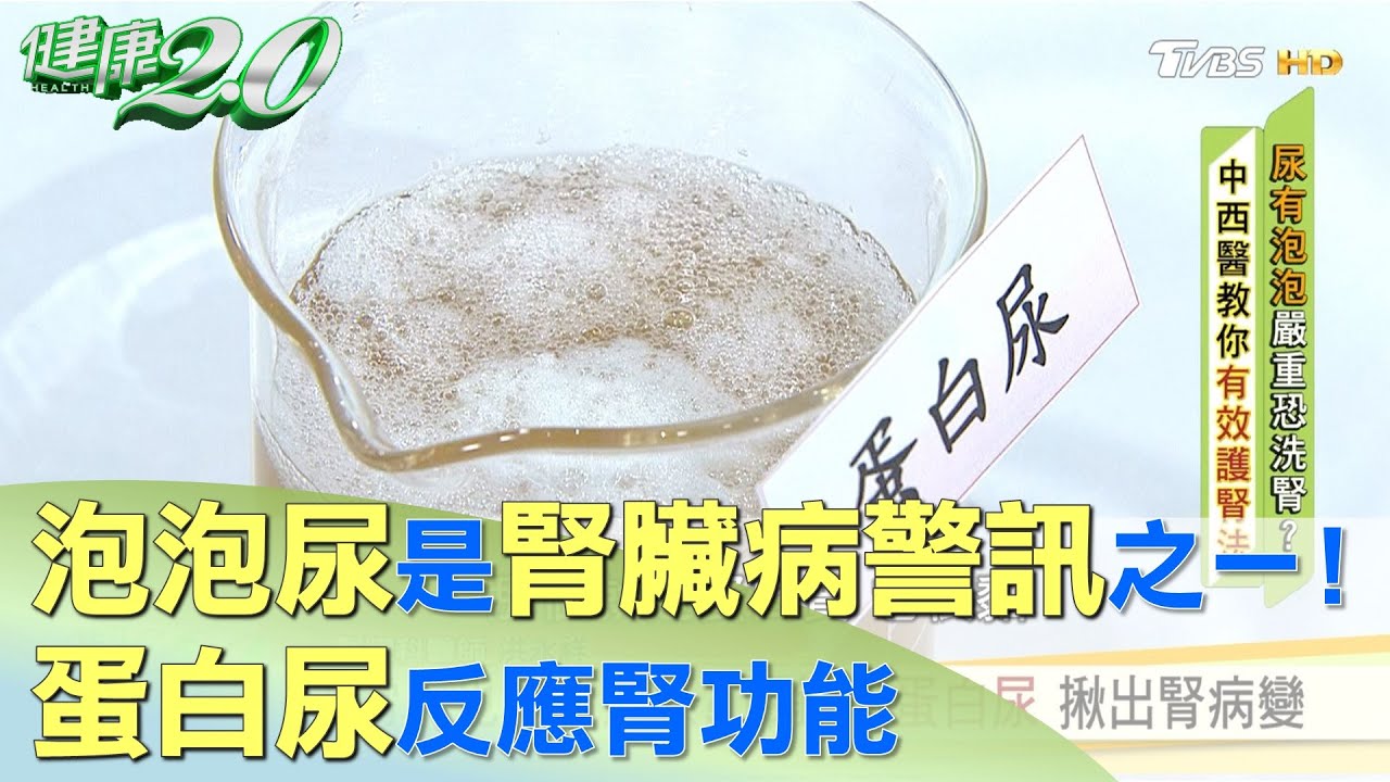 泡泡尿是腎臟病警訊之一！ 蛋白尿反應腎功能 健康2.0