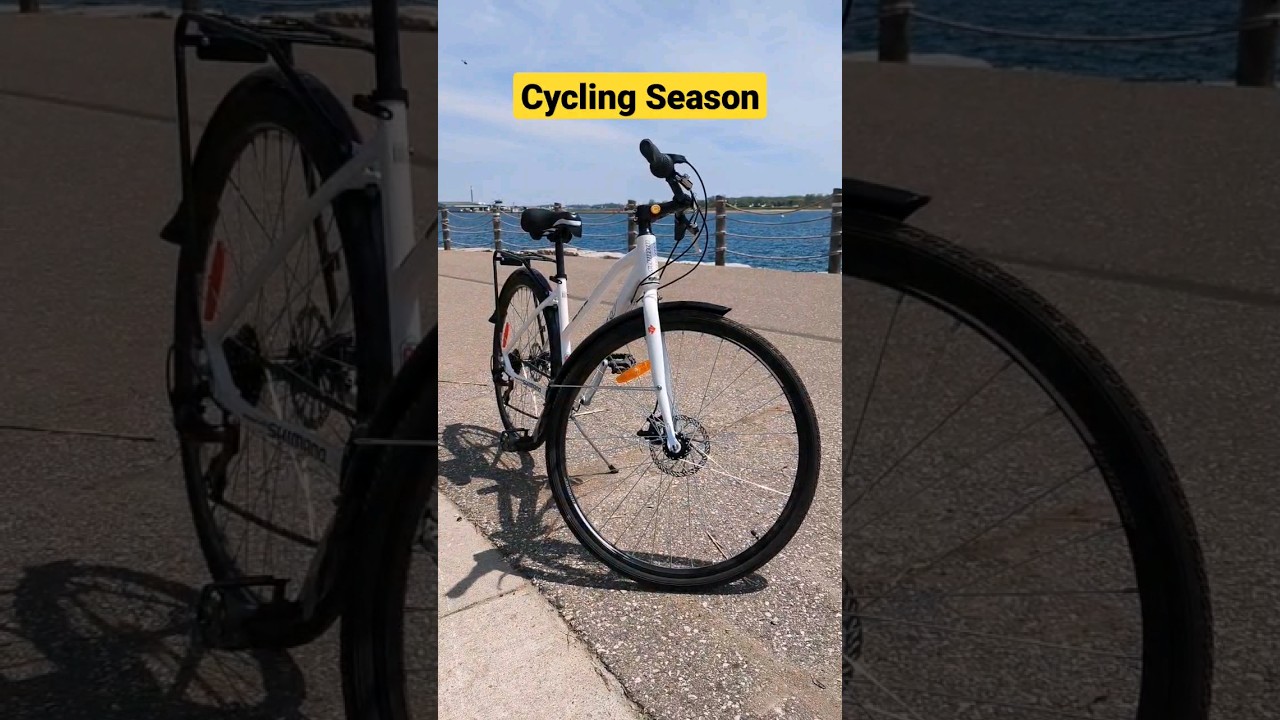 Cycling along Lakeshore in Toronto #shortsfeed #cycling #videography