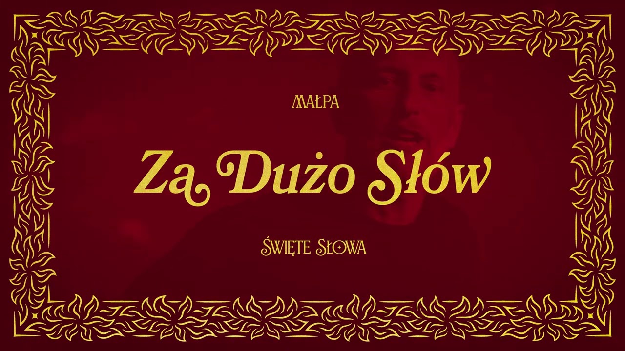 Małpa - Za dużo sł&oacute;w