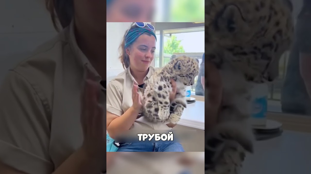 МАЛЫШ барс выбрал себе друга 😱🔥🐆