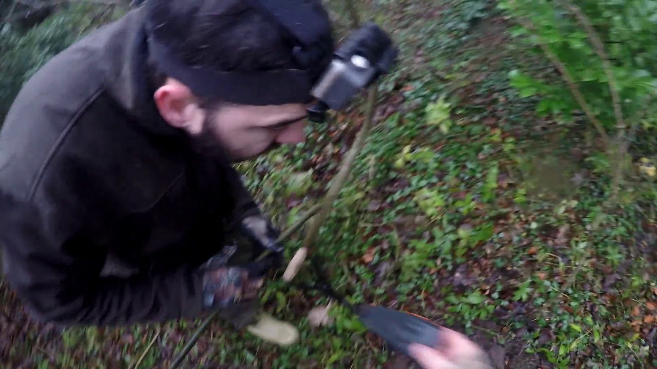 Hunting with Harris Hawks and Ferrets. Season 2020-21. Jess Entered on Feather.