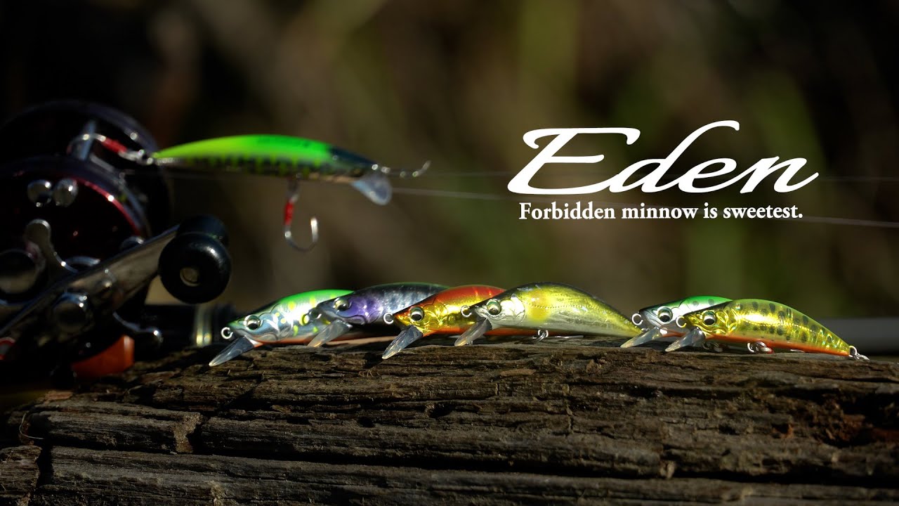 【製品解説】ファインテール エデン (水中動画）