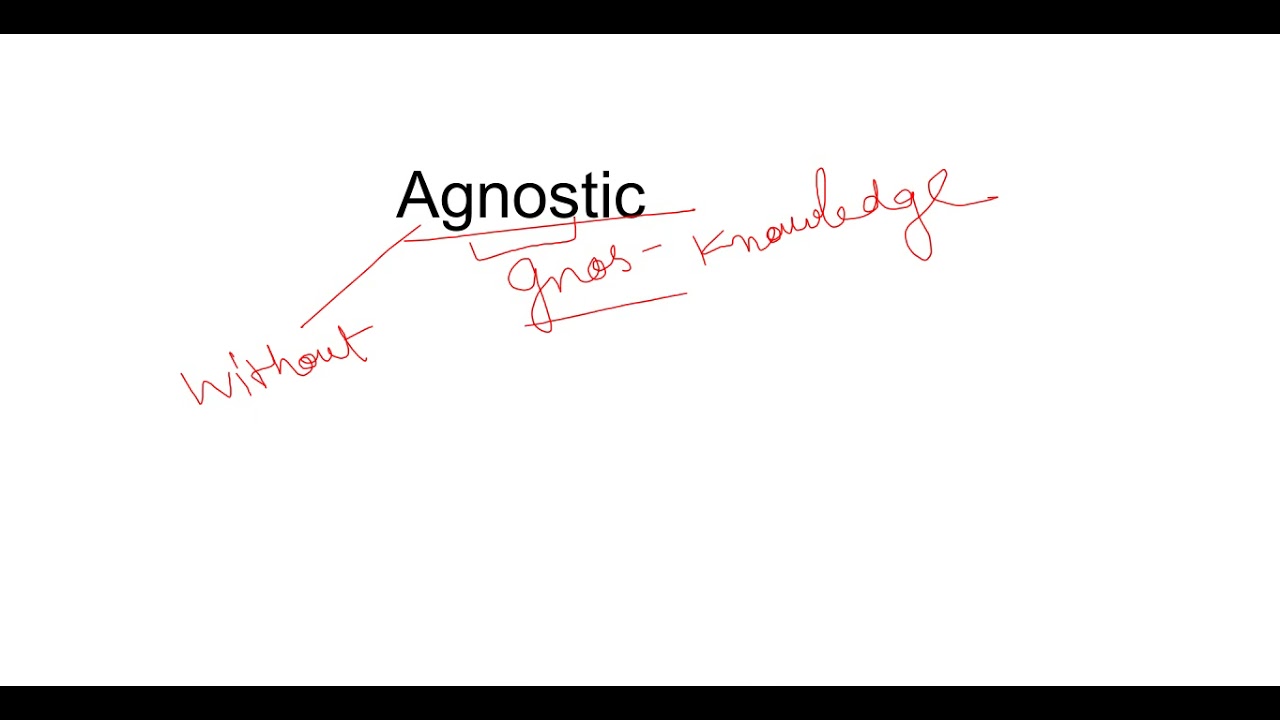 Vocab 1