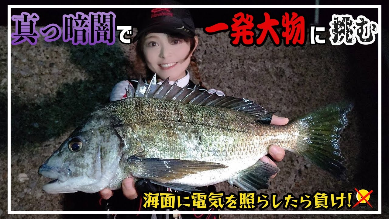 波止の夜釣りで釣る秘訣