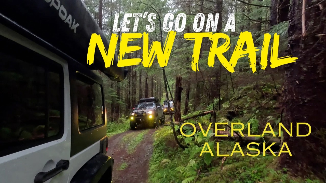 Overlanding North Americas Largest Rainforest in 