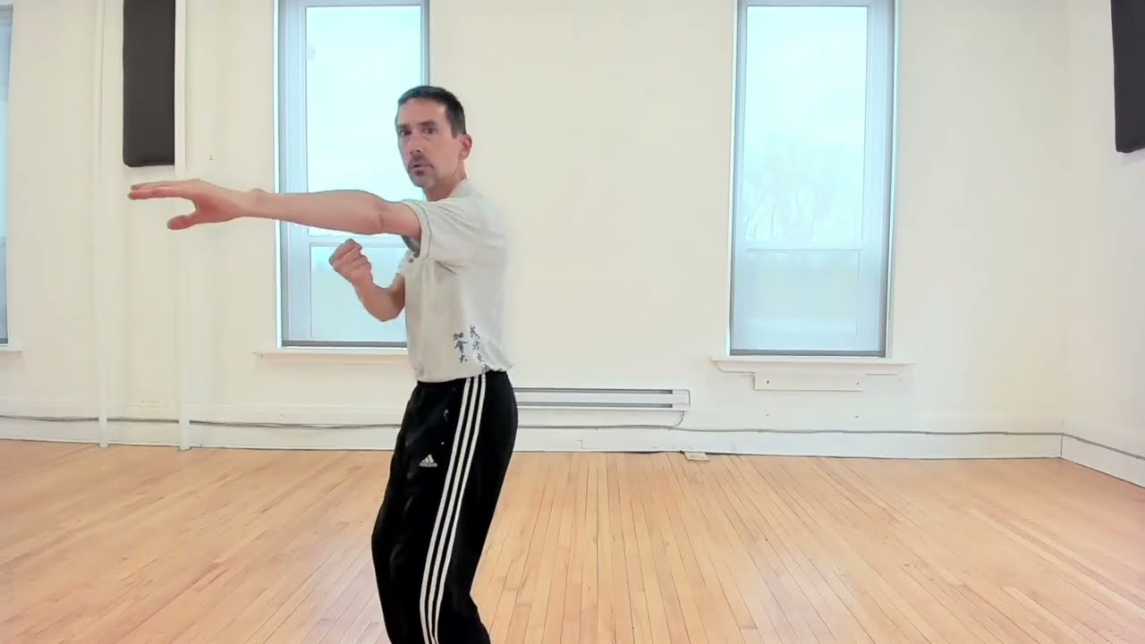 Bagua Palm Techniques: training the reaching palm (tan zhang)