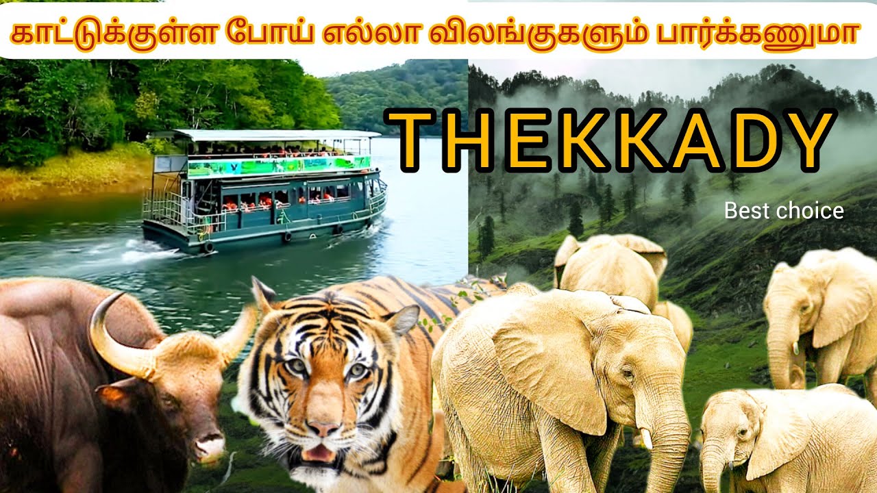 தேக்கடி must visit places in Thekkady 😍@MounamPesiyadhe-t4p