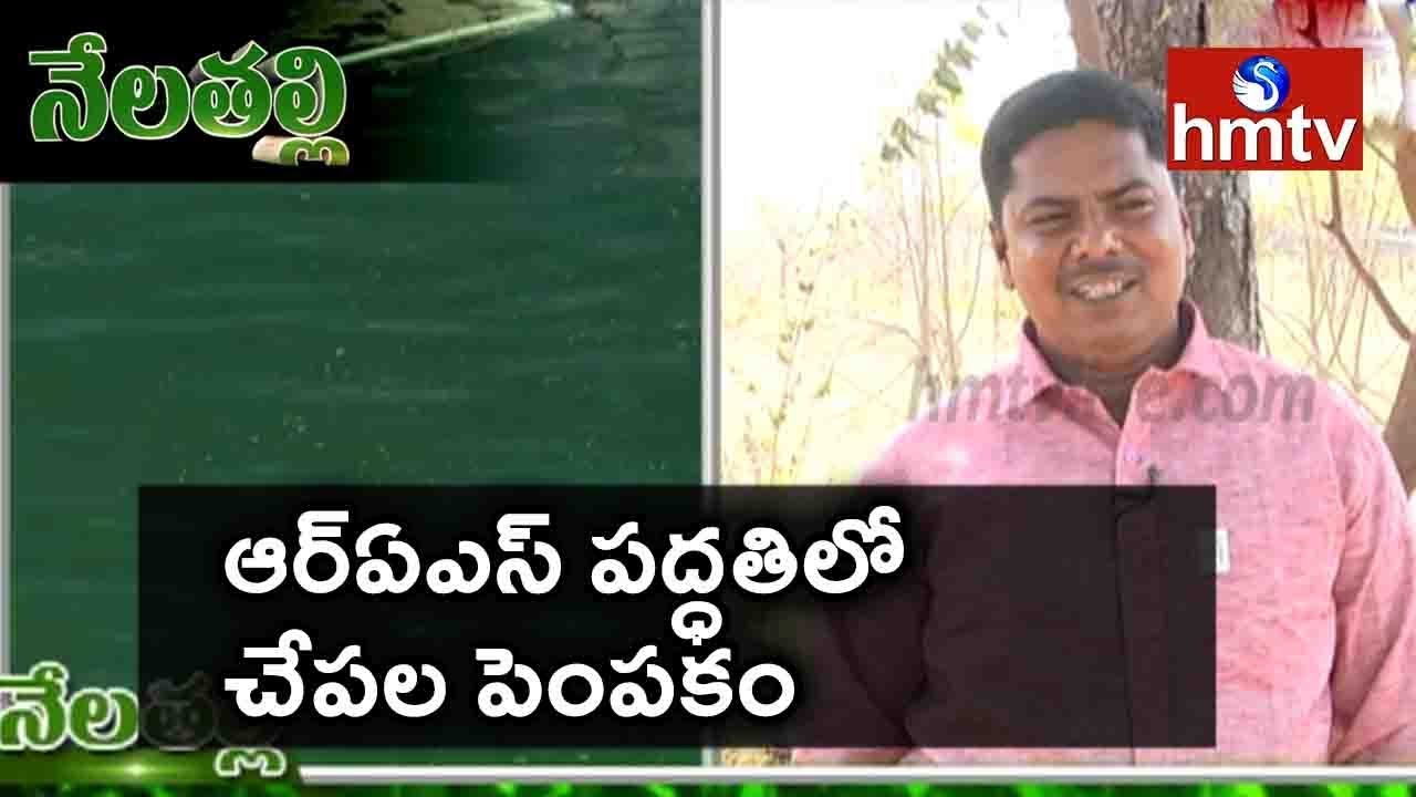RAS Fish Farming Guide By Ideal Young Farmer | Nela Talli | hmtv