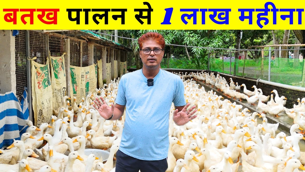 बतख पालन से हर महीना लाखो कमाना सीखे II Duck Farming II Duck Farm II Duck II Poultry Farming