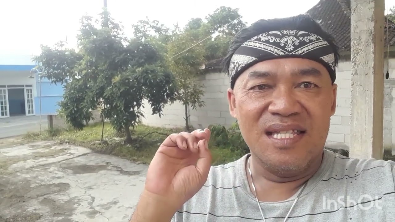 Alpokat miki dan kelengkeng mata lada