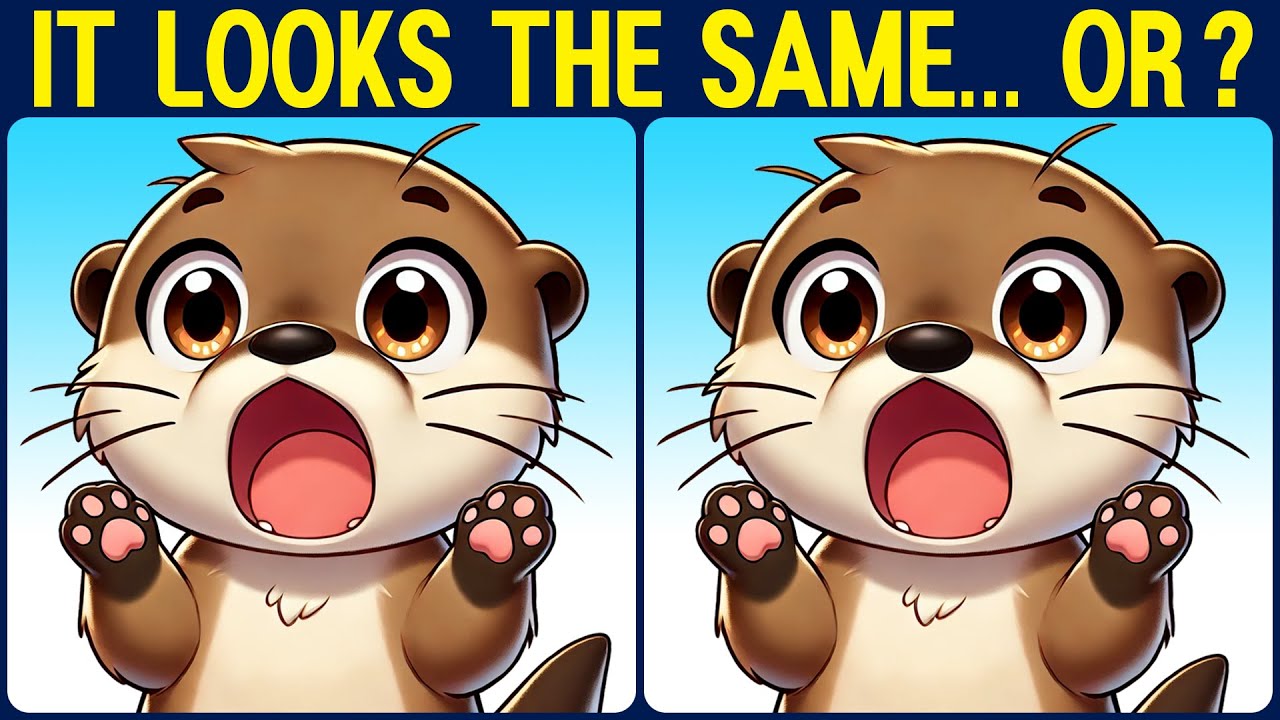 [Spot the Difference Brain Training] Use your sharp eyes and smart brain to solve this puzzle!