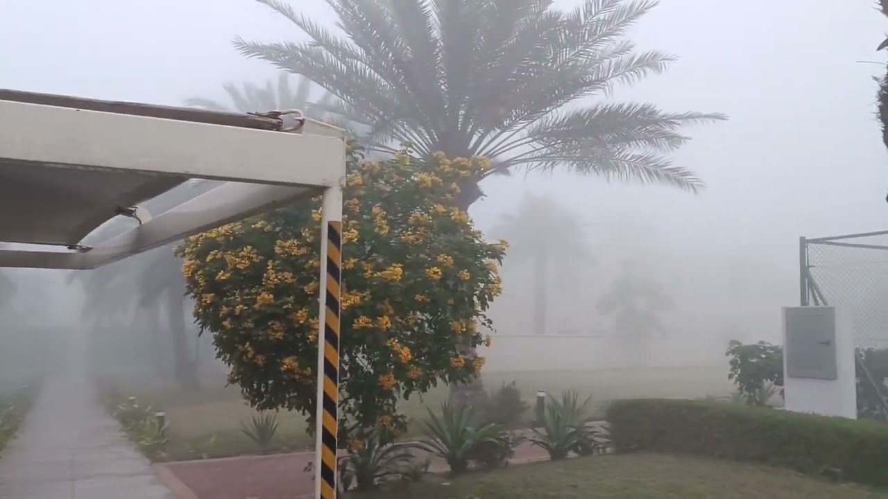 Waking up into a foggy morning.