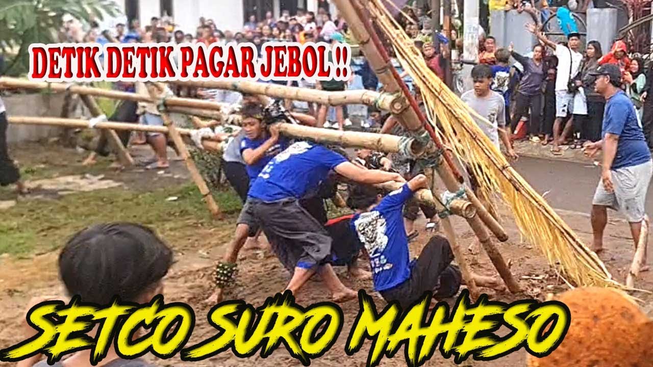 BANTENGAN SETCO SURO MAHESO MENGAMUK! ‼️😡Kalapan Lumpur Ganas Sampai Njebol Pagar Kalangan!