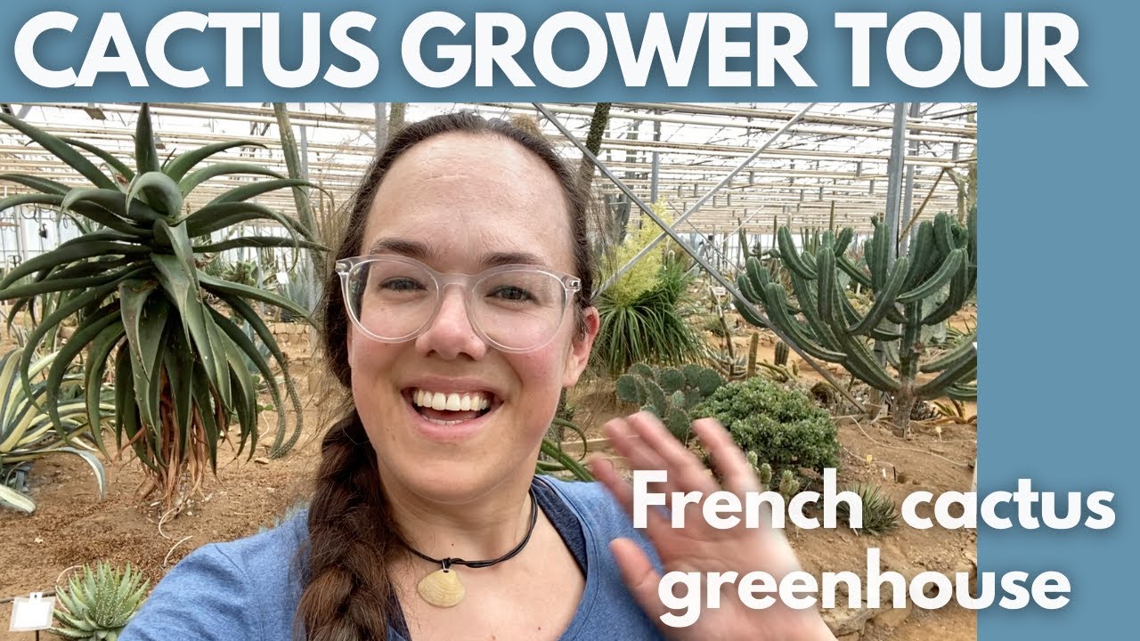 Tour of a French cactus greenhouse - 2000 kinds of cactus?? Cactuseraie | Plant with Roos