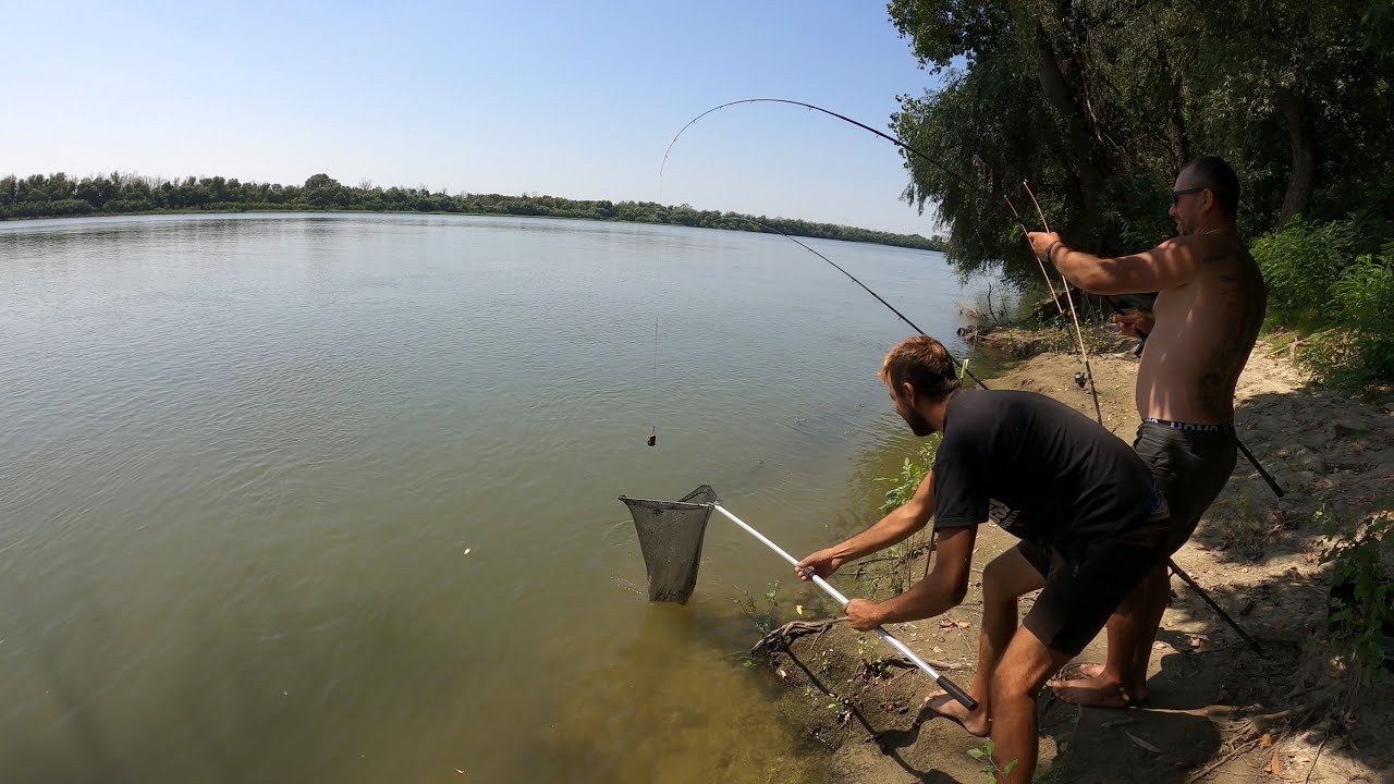Игра с прекрасным судаком на рукаве Чилия 🐟