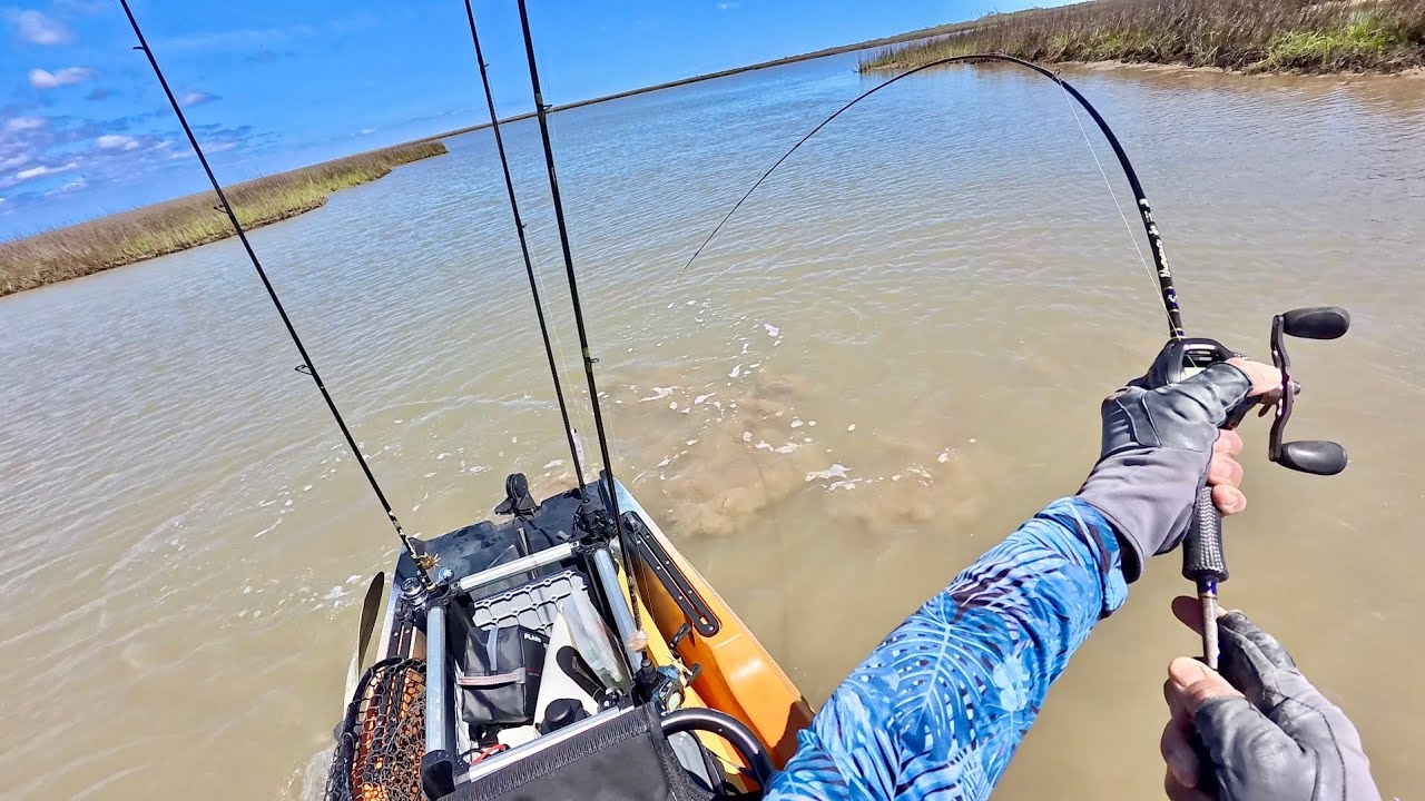 I caught so many fish, they were everywhere 