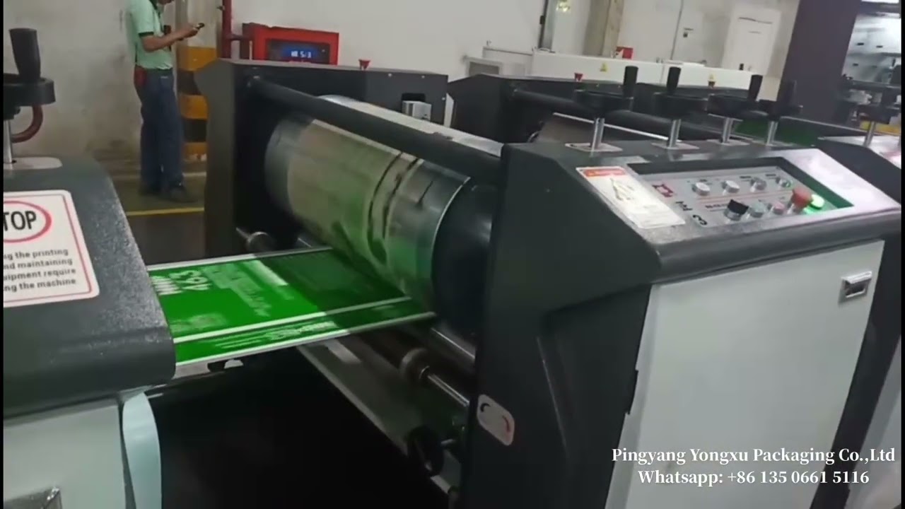 Custom-made model 10 colors High Grade Flexo Printing Machine