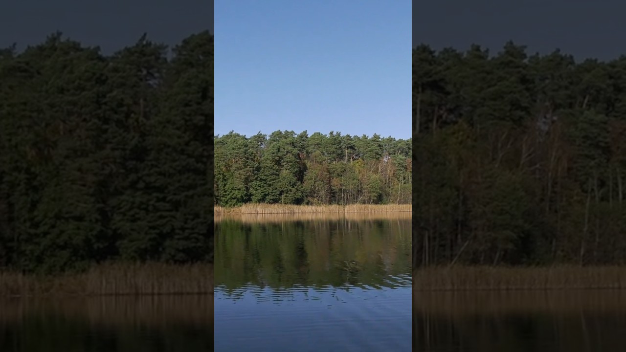 Enjoy The Beautiful Nature Schorfheide Chorin &ndash; Biosphere Reserve Gro&szlig;d&ouml;llner Seelen