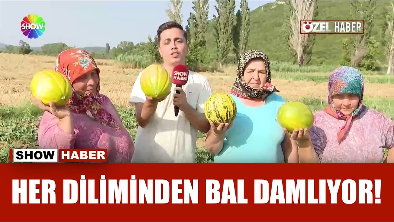 Tarladaki kehribar: Mecidiye kavunu!