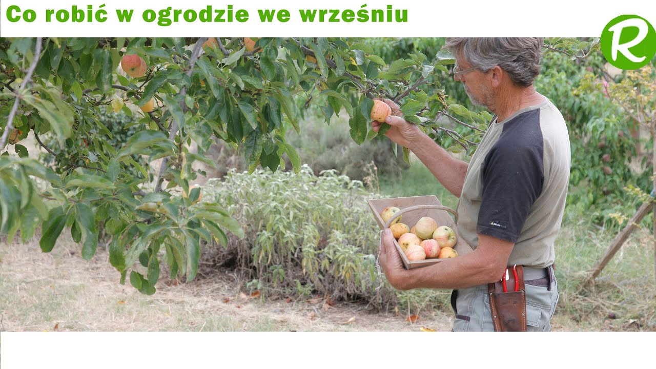 Ogród we wrześniu