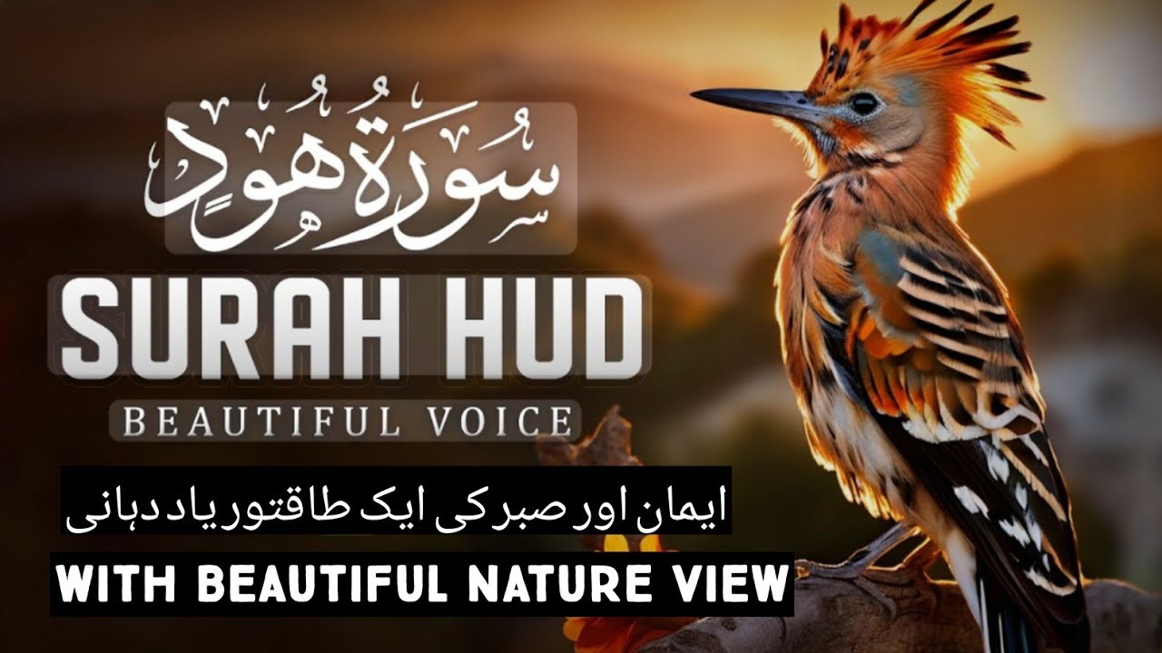 Surah Hud – A Powerful Reminder of Faith & Patience🕋