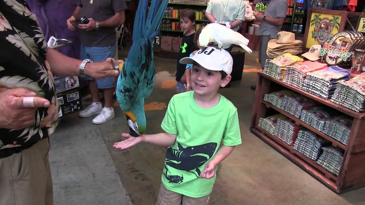 J J  at Rainforest Cafe  Sawgrass Mills   Tour the restaurant then stick around for some cool parrot