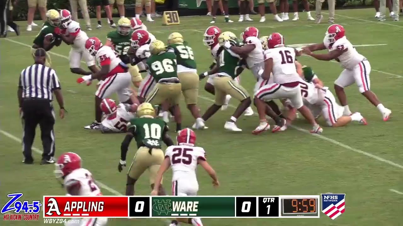 APPLING COUNTY AT WARE COUNTY