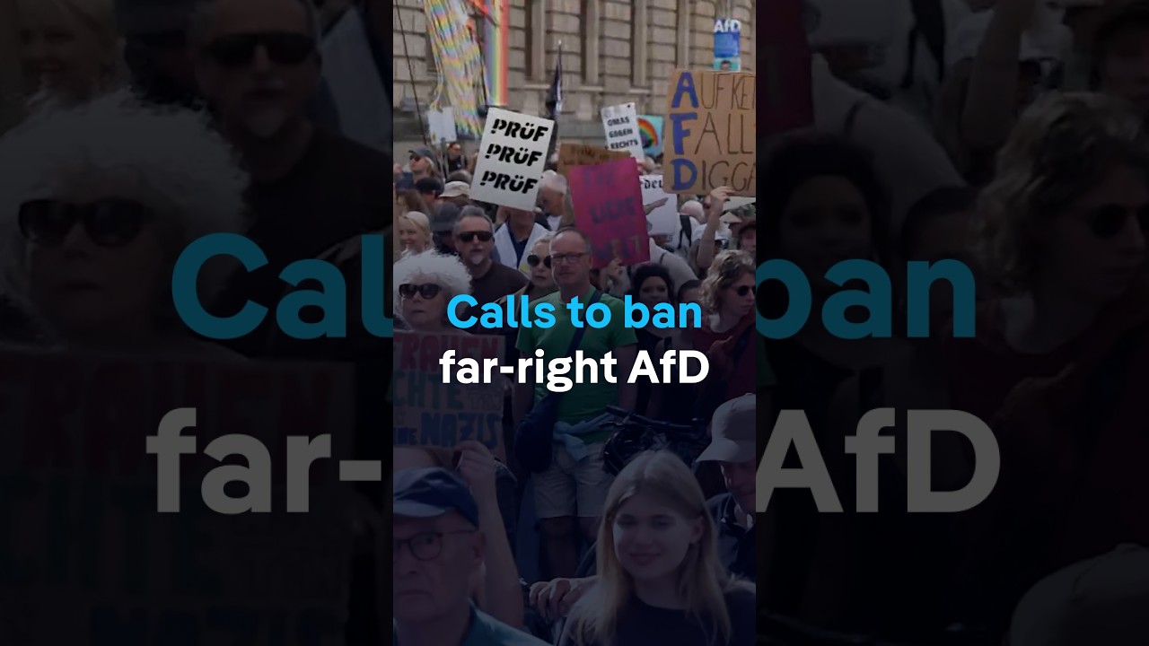 Calls to ban far-right AfD | DW News