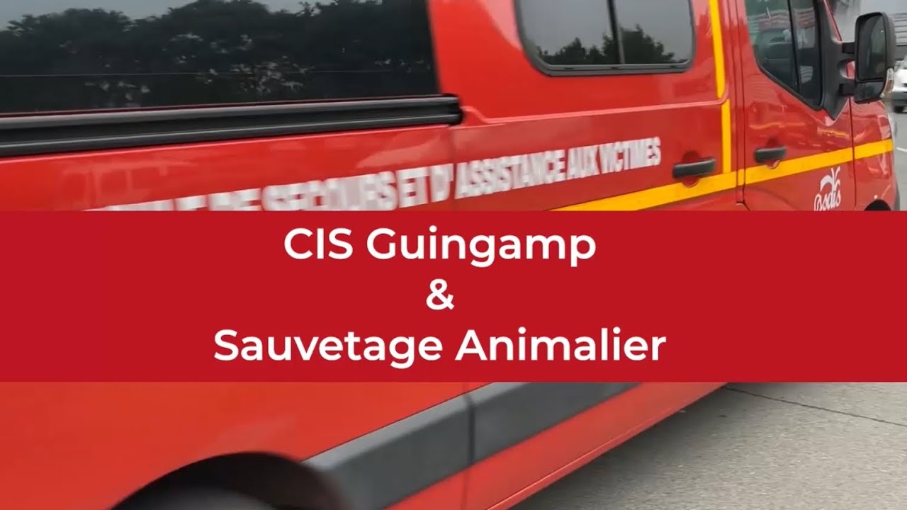 Fil rouge : visite du CIS de Guingamp et d&eacute;couverte de la sp&eacute;cialit&eacute; SAN