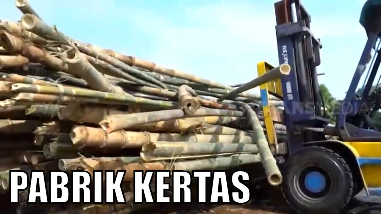 Kepoin Pabrik Pembuatan Kertas! Ternyata Bukan Dari Kayu! | SI UNYIL (26/10/20)