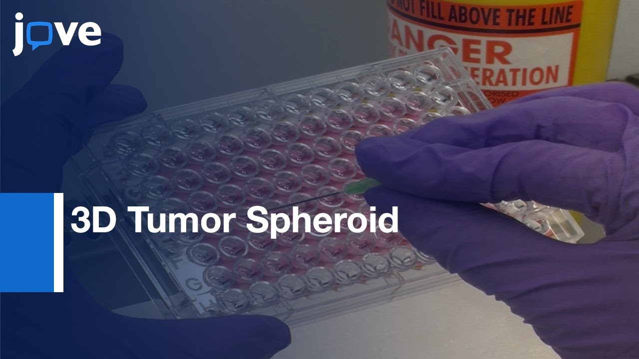 3D Tumor Spheroid Invasion Assay | Protocol Preview