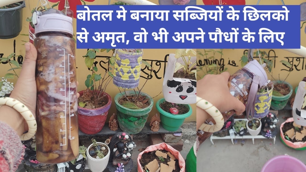 अपने पौधों के लिए बनाये अमृत वो भी kitchen के कचरे से🥰🪴 | How To Make Healthy Drink For Plants | 