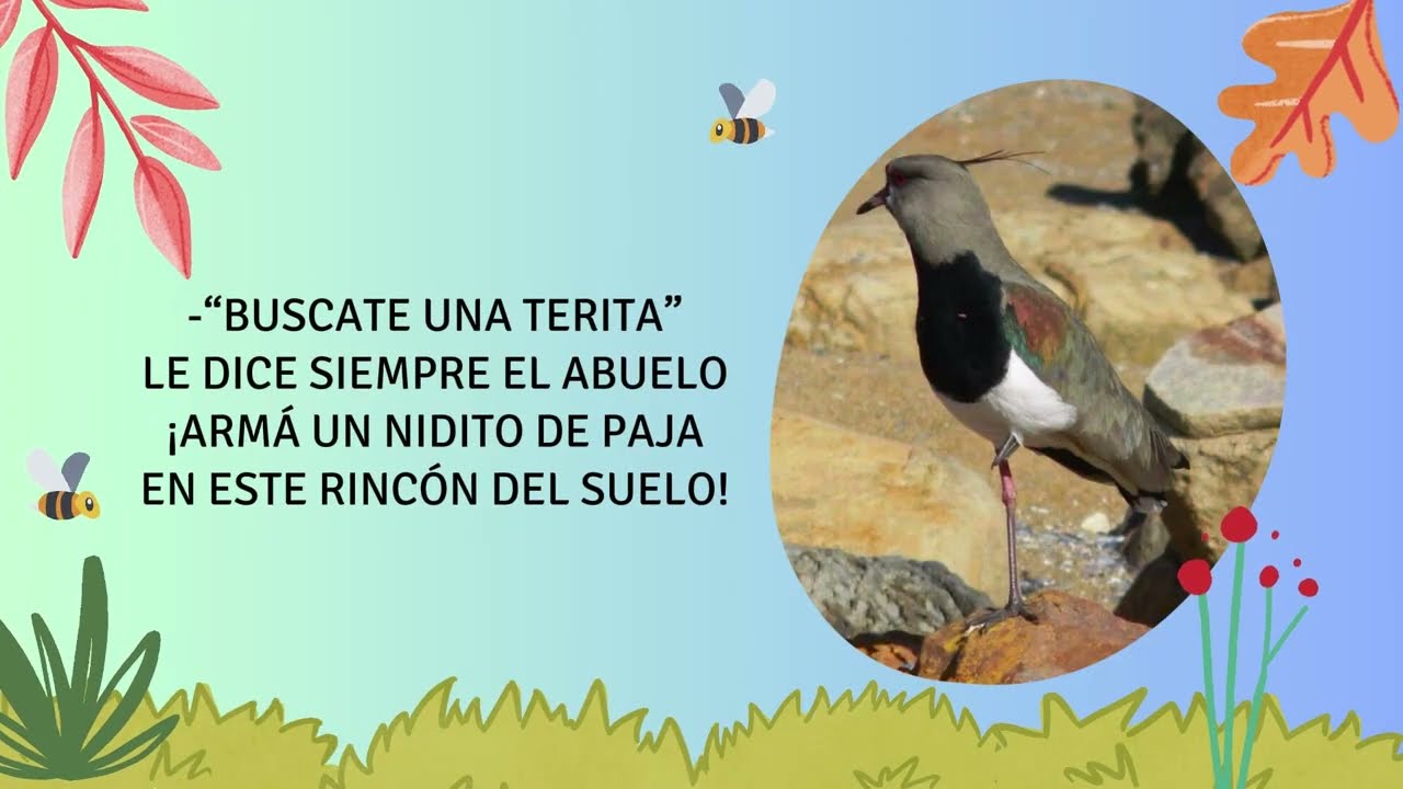 TERO, EL TÍO SOLTERO (Gabriela Villar)