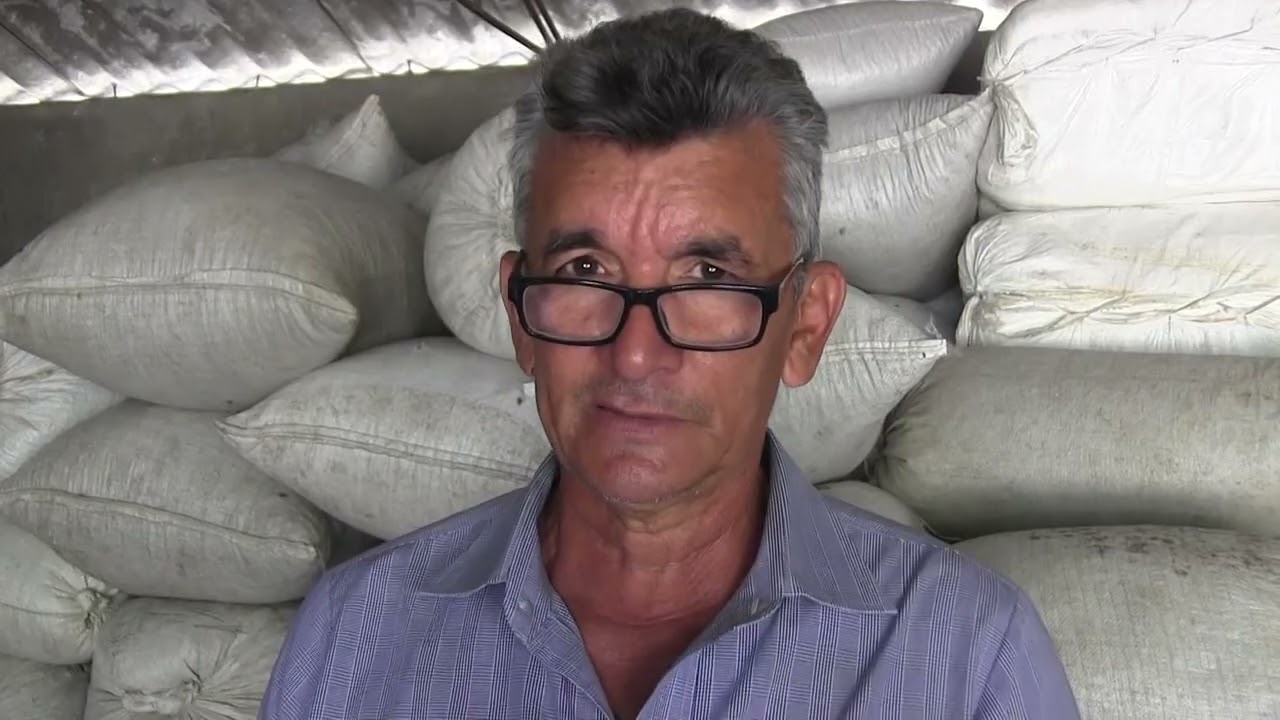 Empresa Agroforestal y BioCuba Café impulsan en Tercer Frente Plan Rescate de la Cosecha Cafetalera