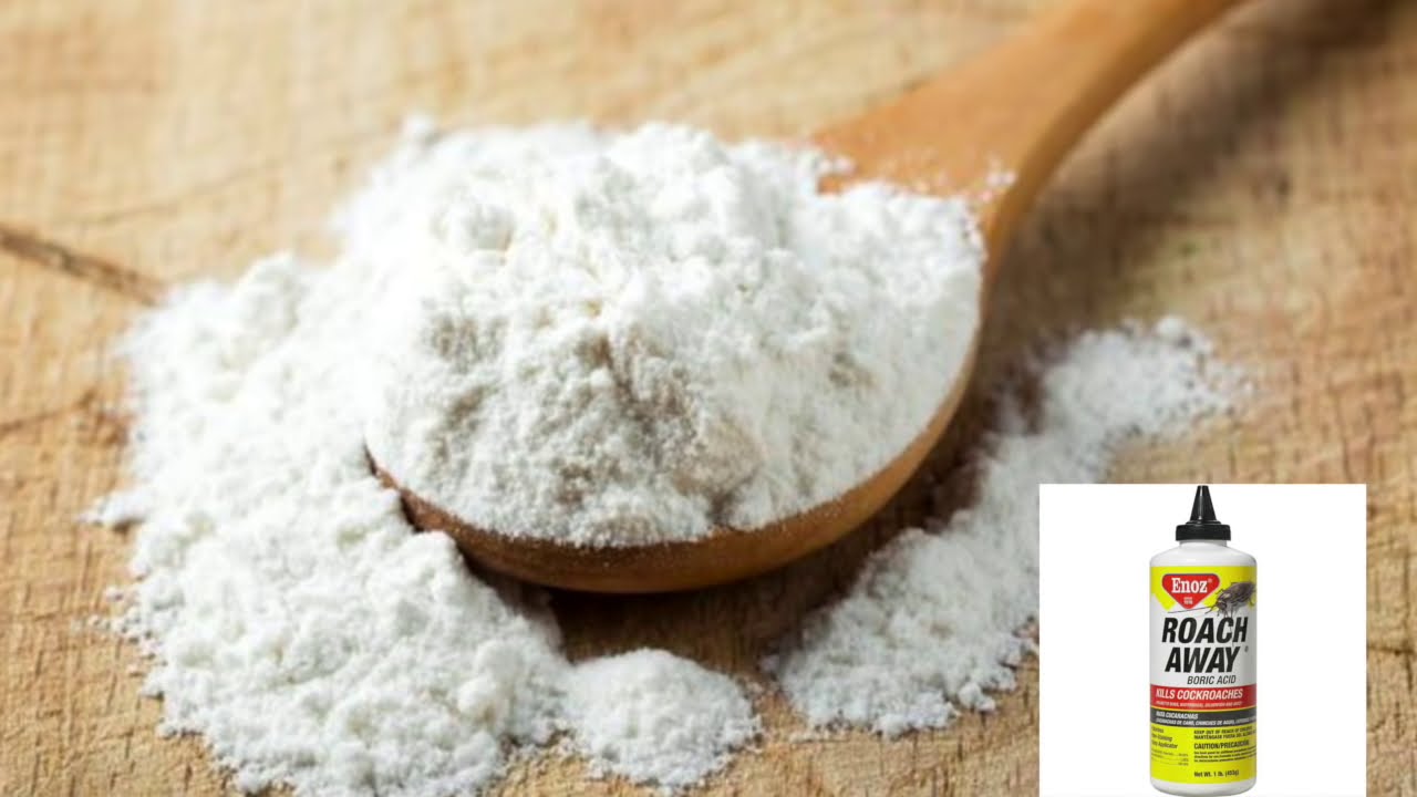 VOICI COMMENT SE DEBARRASSER  DES CAFARDS EN 24H SEULEMENT| COINDAME NATURAL