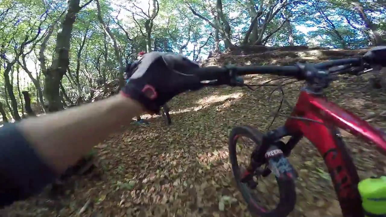 Hometrails im Herbst | Shredden im Wiehengebirge
