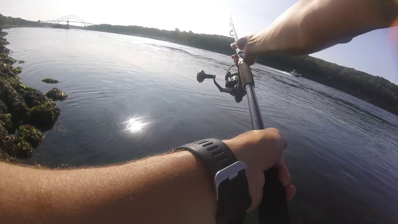 Cape Cod Canal: Epic Striper Blitz