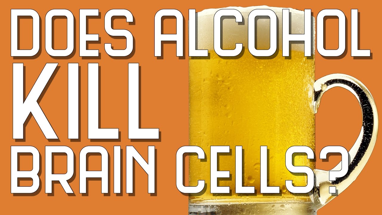 Does Alcohol Kill Brain Cells?