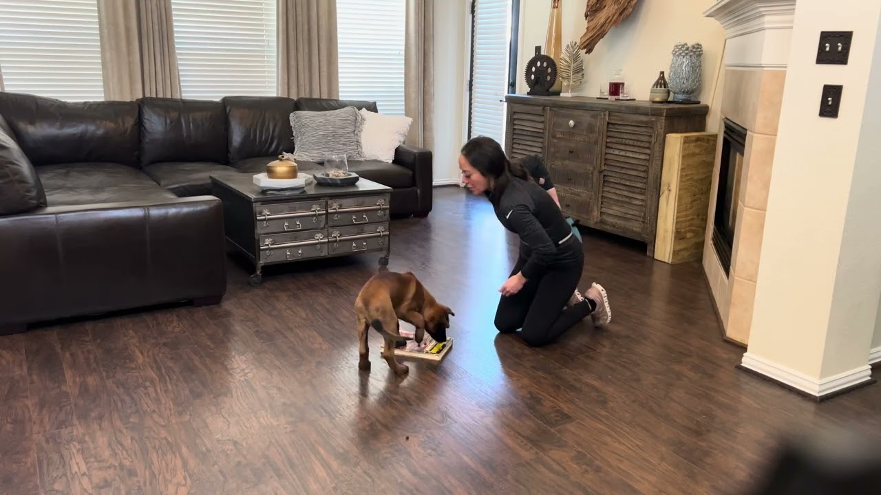Blitz 2.1.26 First Pad Session 