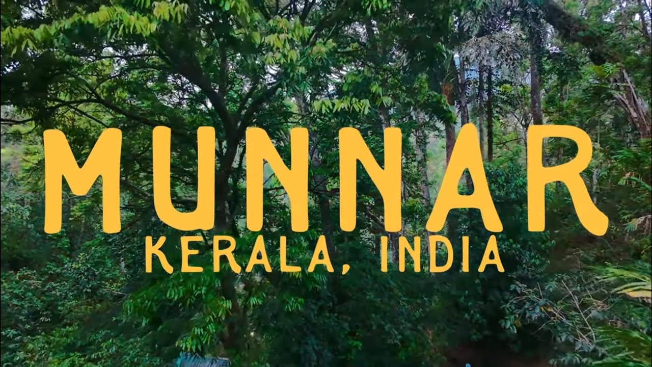 Did we do this place wrong? Munnar, Kerala  | Tea Plantations, Sunrise Hikes & Eco Retreat | EP.7