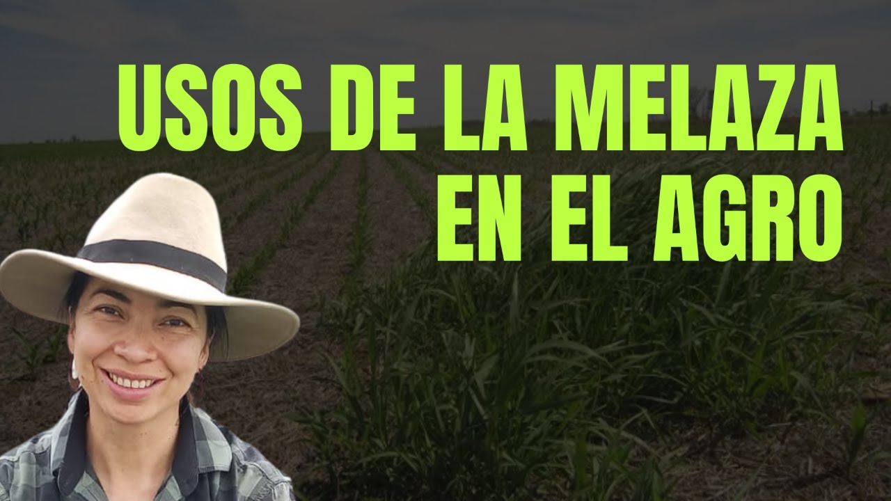 Usos de la Melaza en el Agro