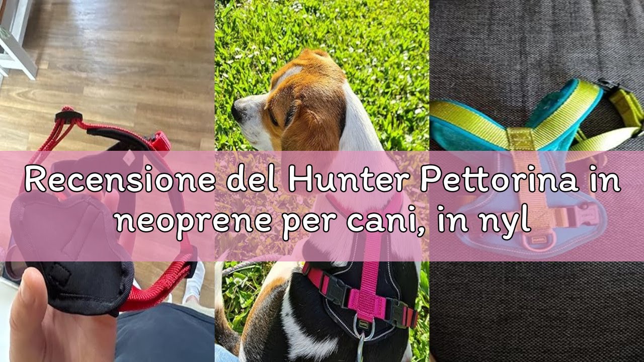 Recensione del Hunter Pettorina in neoprene per cani, in nylon, con imbottitura morbida in neoprene,
