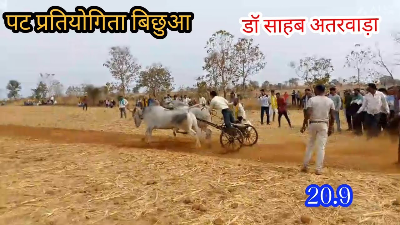 डॉ साहब अतरवाड़ा स्टार्टिंग पॉइंट से छोड़ते हुए (पट प्रतियोगिता बिछुआ) 
